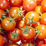 Die Tomate - Aroma, Sch&#246;nheit und Genuss in eins
