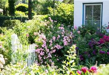 Gartengestaltung – Ideen für den eigenen Garten