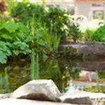Findlinge im Garten - Sitzgelegenheit, Wasserfall oder Dekoelement