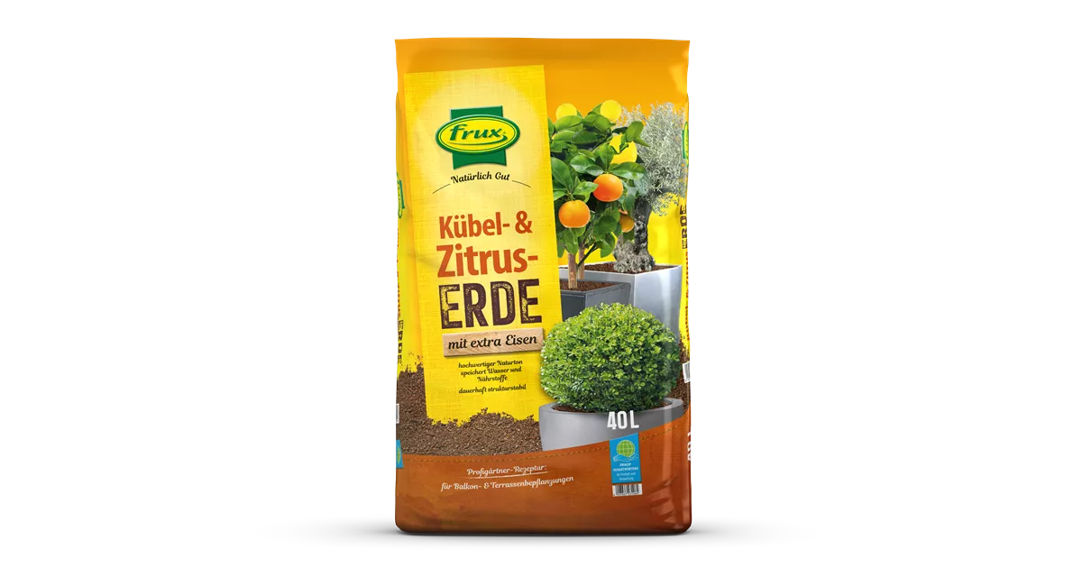 olivenbaum toskana kaufen Olivenbaum Abo/Patenschaft / 5l Bio Extra Natives Olivenöl main image 1