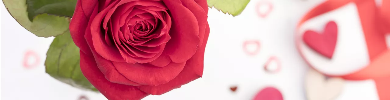 Der Valentinstag und seine Geschichte