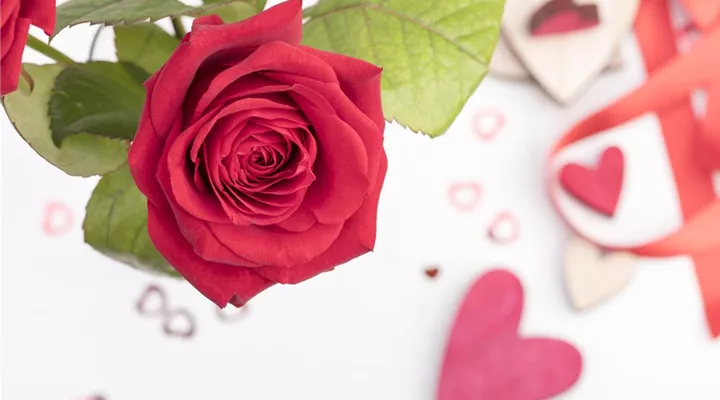 Der Valentinstag und seine Geschichte