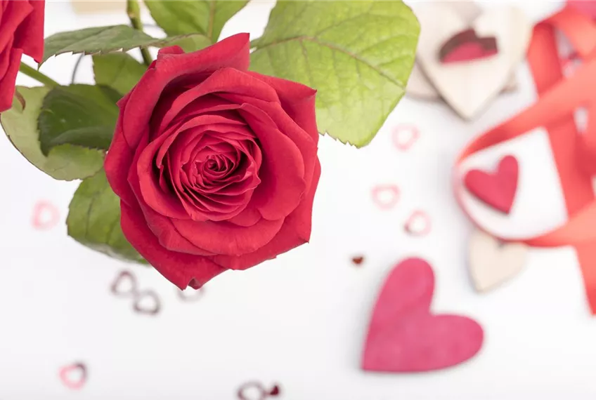 Der Valentinstag und seine Geschichte