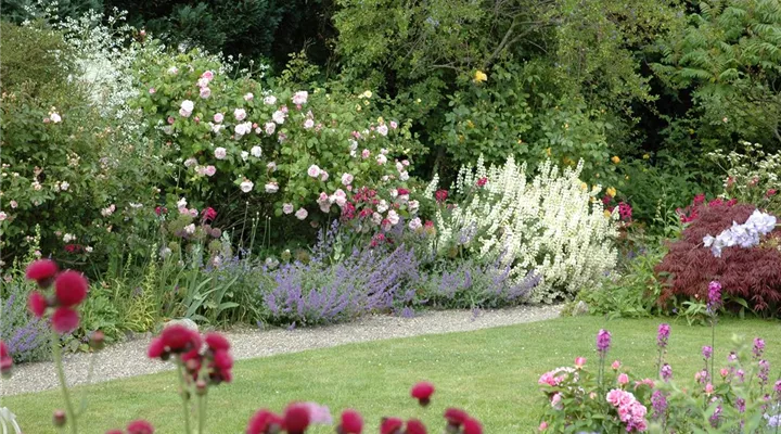 Aller Anfang ist (nicht) schwer - der erste eigene Garten