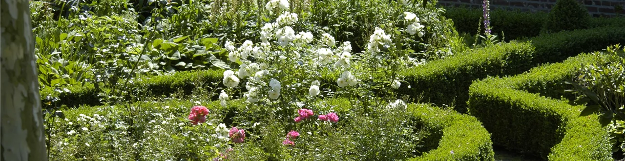 Cottage Garden: Englisches Flair im eigenen Garten