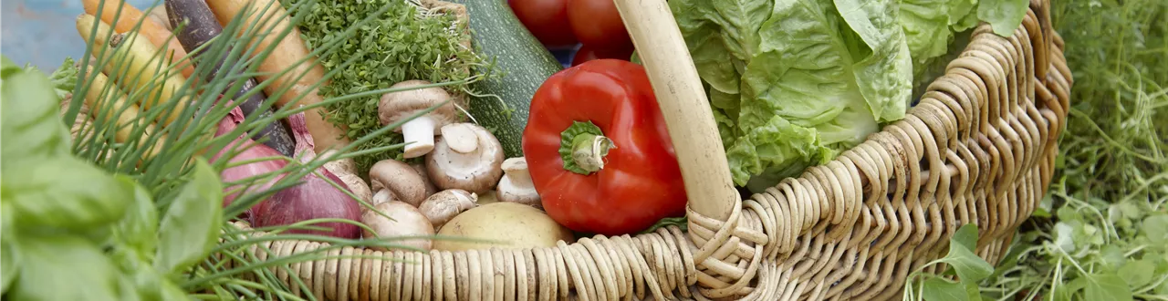 Das Pflanzen von Gemüse 