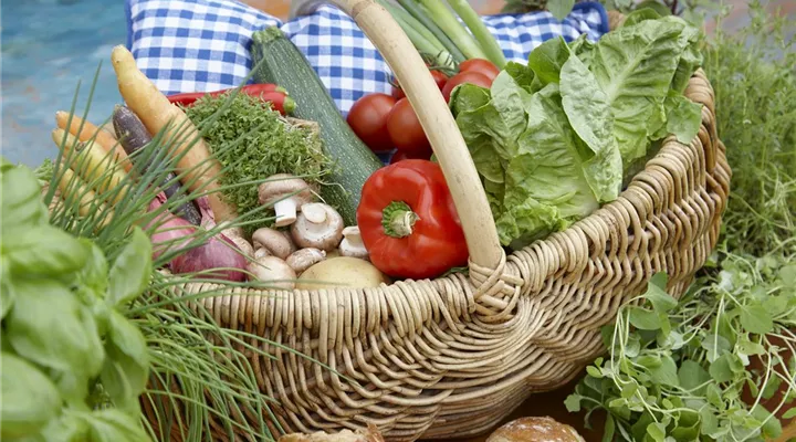 Das Pflanzen von Gemüse 