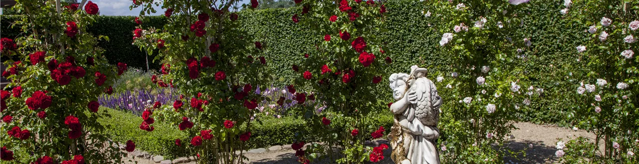 Der Barockgarten: royales Flair im eigenen Garten