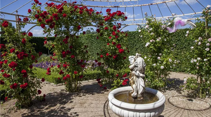 Der Barockgarten: royales Flair im eigenen Garten