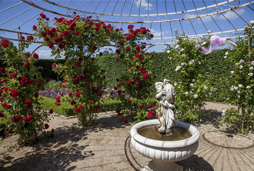 Der Barockgarten: royales Flair im eigenen Garten