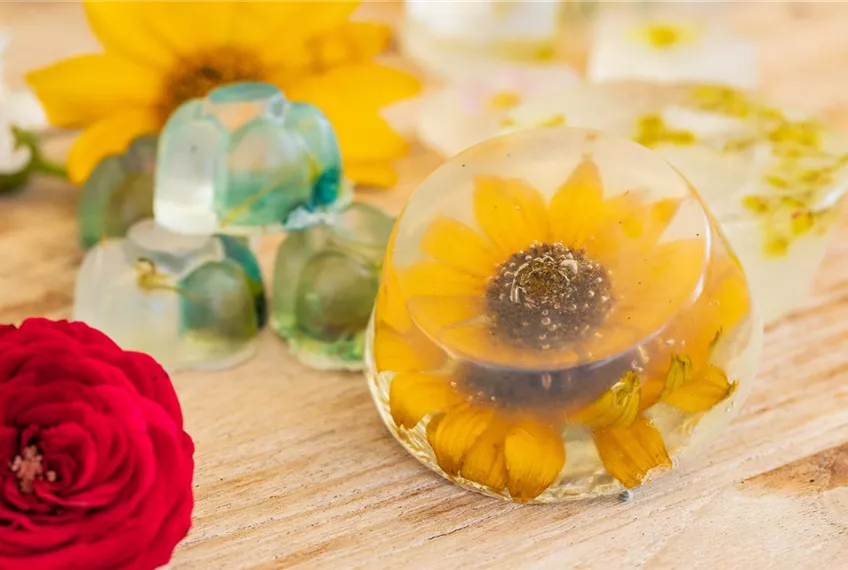Blumenseife - die etwas andere Seife mit Blüten