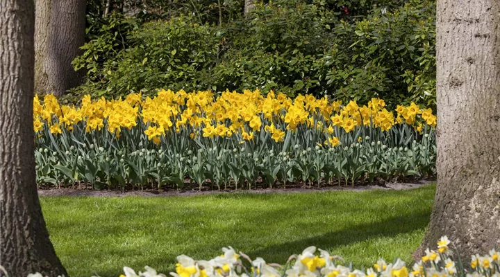 Das richtige Blumenbeet für den eigenen Garten