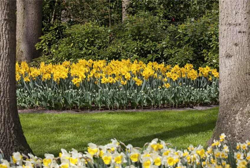 Das richtige Blumenbeet für den eigenen Garten