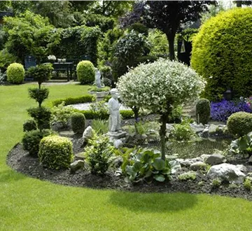 Bäume pflanzen – so wird der Garten groß
