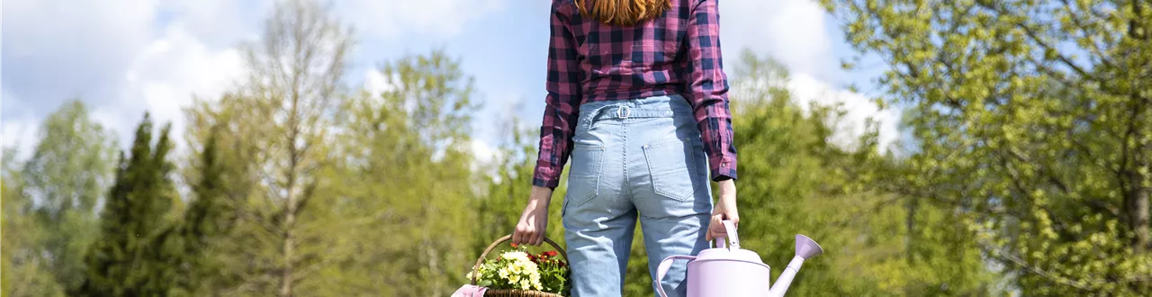 Alles auf Anfang – ein Blumenbeet anlegen