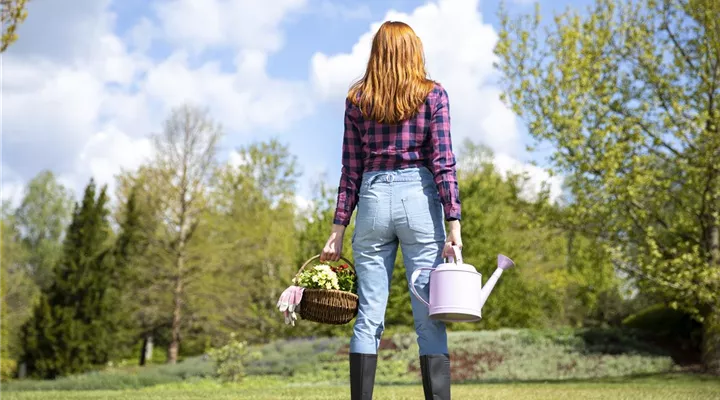 Alles auf Anfang – ein Blumenbeet anlegen