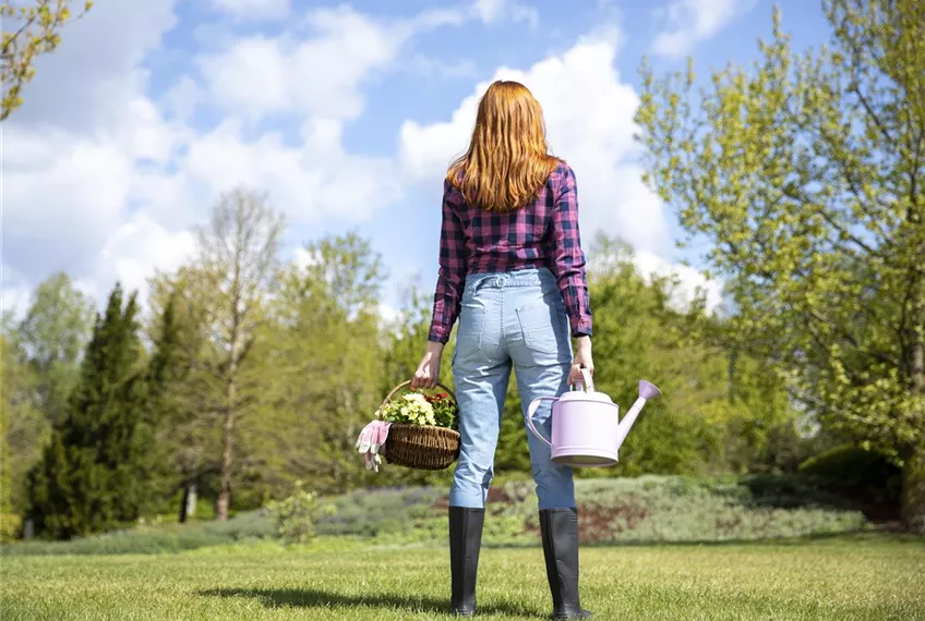 Alles auf Anfang – ein Blumenbeet anlegen