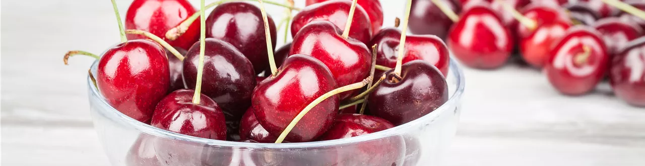 Die Früchte des Gartens gut verarbeiten