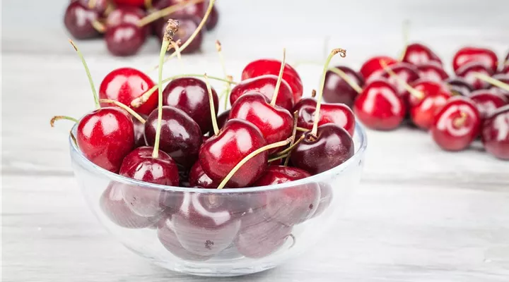 Die Früchte des Gartens gut verarbeiten