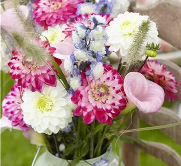 Beauty-Kur für den Blumenstrauß: Pülverchen und Hausmittel