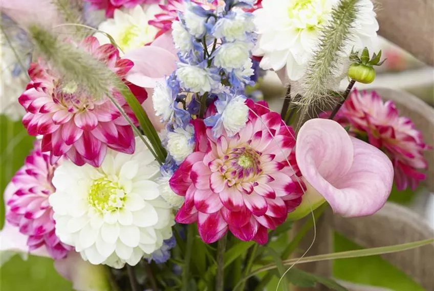 Beauty-Kur für den Blumenstrauß: Pülverchen und Hausmittel