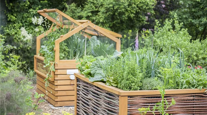 Das Hochbeet - Entlastung und frühe Ernte