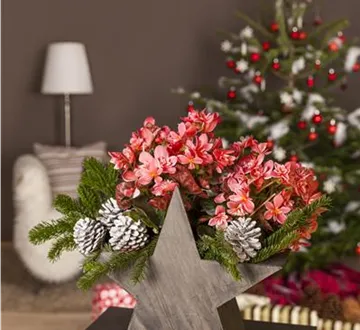 Advent - mit schönen Ideen durch die Vorweihnachtszeit 