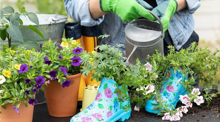 Auf den Schuh gekommen – Upcycling mit Gummistiefeln