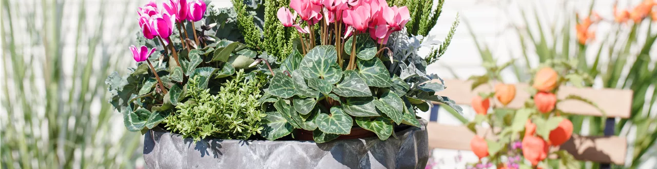 Aus alt mach neu: Blumenkübel nicht wegwerfen!