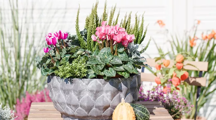 Aus alt mach neu: Blumenkübel nicht wegwerfen!