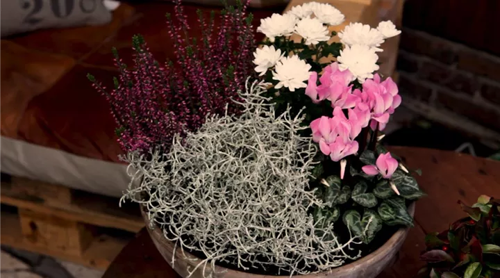 Blumenkübel – Herbstliche Bepflanzung
