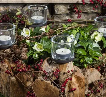 Adventskranz gestalten