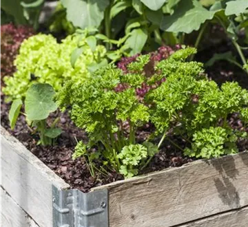 Das DIY-Hochbeet: nützlich, modern und super praktisch