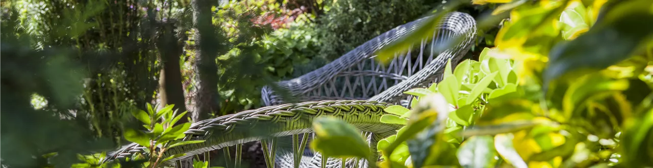 Die grüne Oase: die Terrasse in einen Garten verwandeln