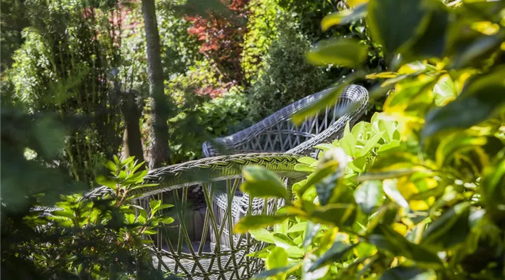 Die grüne Oase: die Terrasse in einen Garten verwandeln